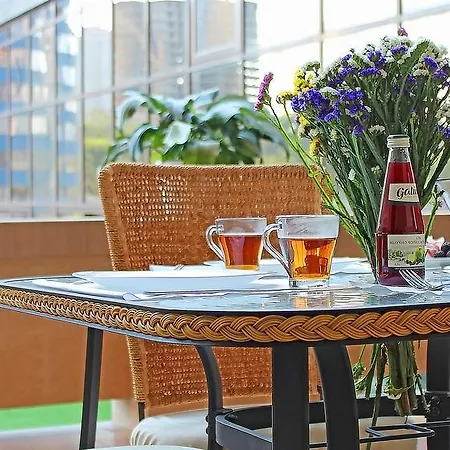 Apartment Terrace